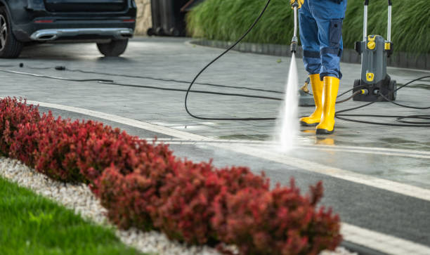 Best Restaurant Pressure Washing  in Harmony Grove, CA